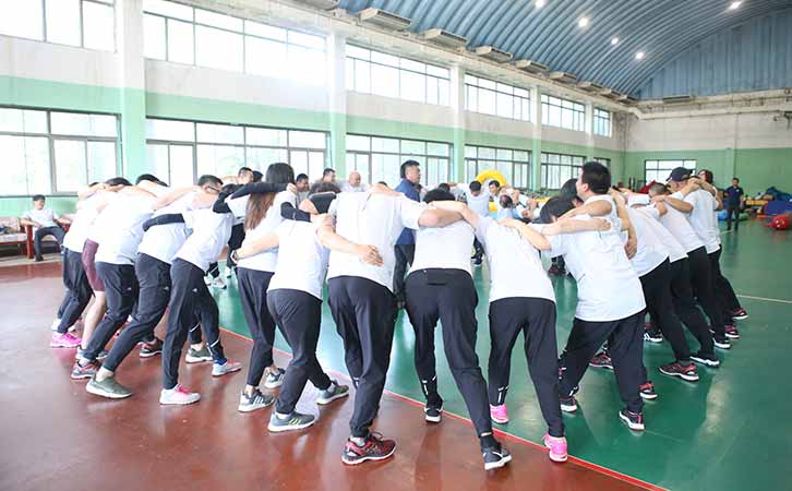 拓展训练：新人融入课程